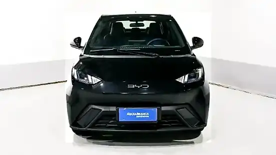 Foto de um byd dolphin mini