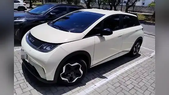 Foto de um byd dolphin