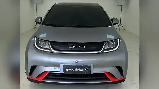 Foto de um byd dolphin