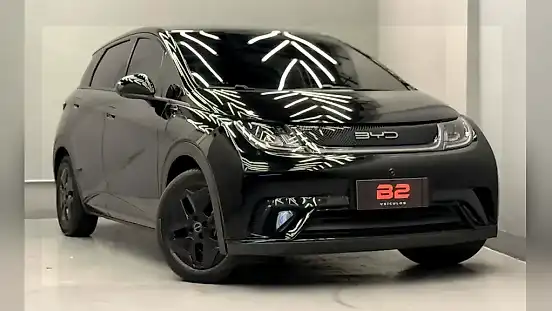 Foto de um byd dolphin