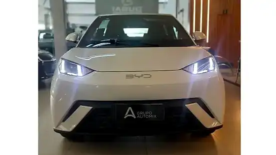 Foto de um byd dolphin mini