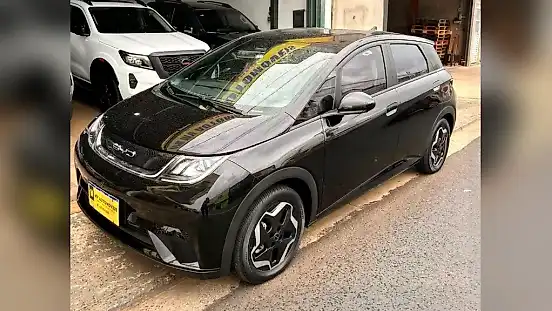 Foto de um byd dolphin