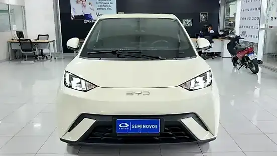 Foto de um byd dolphin mini