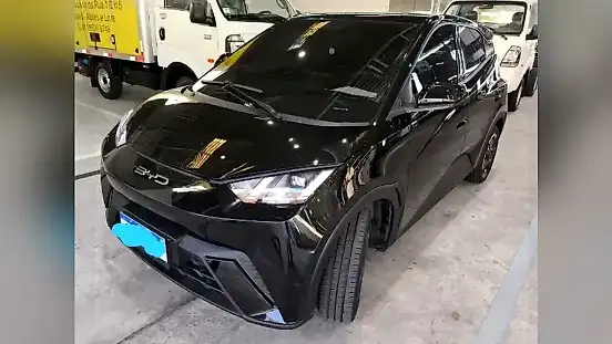 Foto de um byd dolphin mini