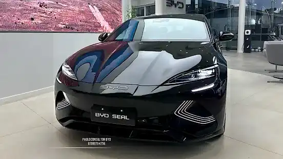 Foto de um byd seal