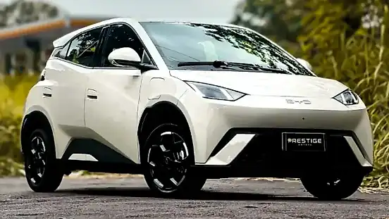 Foto de um byd dolphin mini