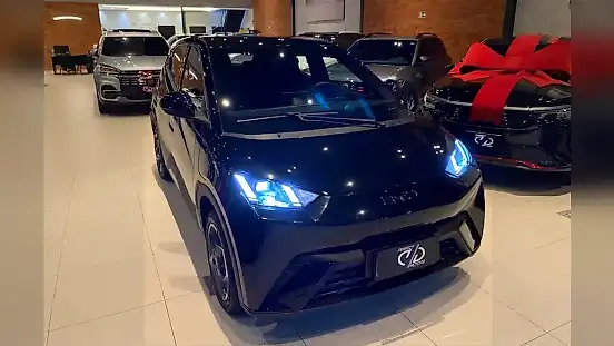 Foto de um byd dolphin