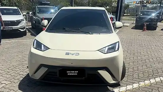 Foto de um byd dolphin mini