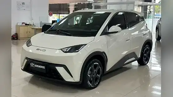 Foto de um byd dolphin mini