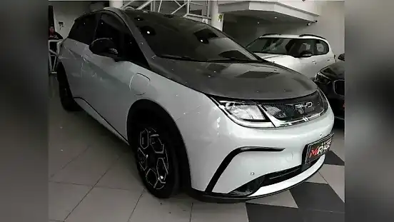Foto de um byd dolphin plus