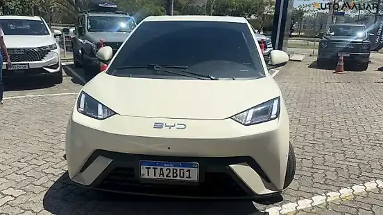 Foto de um byd dolphin mini