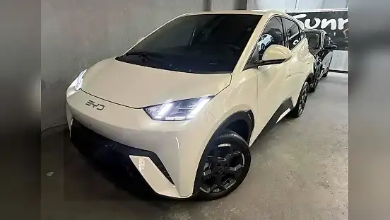 Foto de um byd dolphin mini