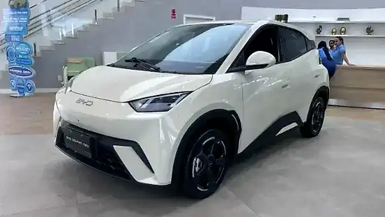 Foto de um byd dolphin mini