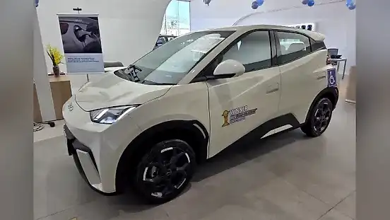 Foto de um byd dolphin mini