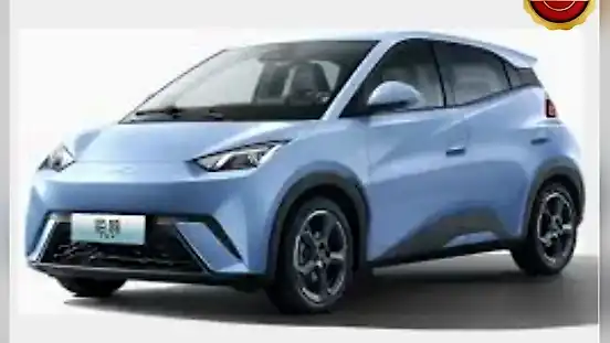Foto de um byd dolphin mini