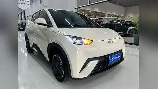 Foto de um byd dolphin mini