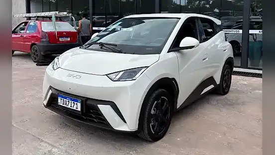 Foto de um byd dolphin mini