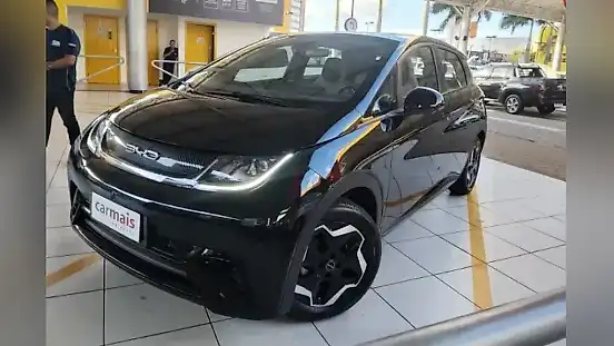 Foto de um byd dolphin