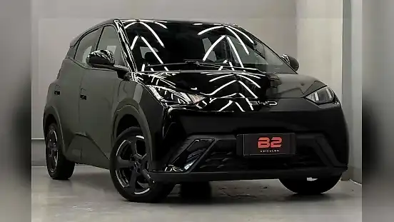 Foto de um byd dolphin plus