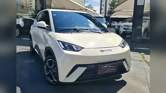 Foto de um byd dolphin mini