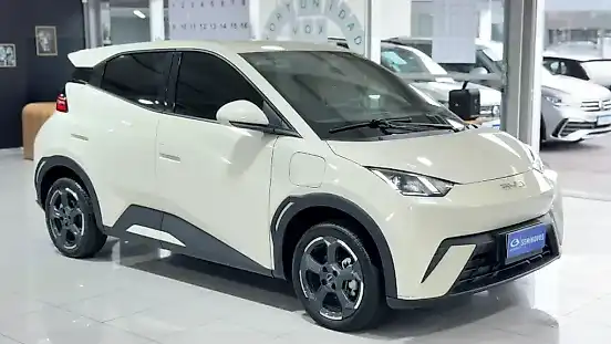 Foto de um byd dolphin mini