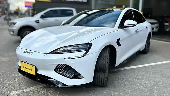 Foto de um byd seal