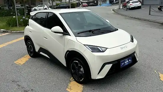 Foto de um byd dolphin mini