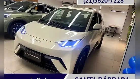 Foto de um byd dolphin mini