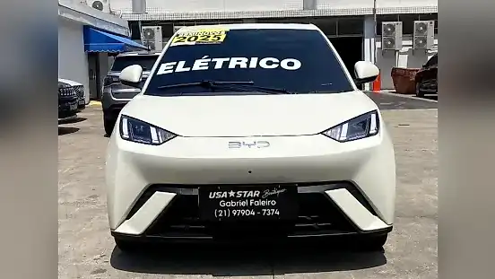 Foto de um byd dolphin mini