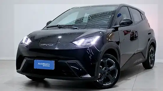 Foto de um byd dolphin mini