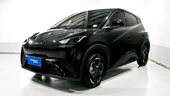 Foto de um byd dolphin mini