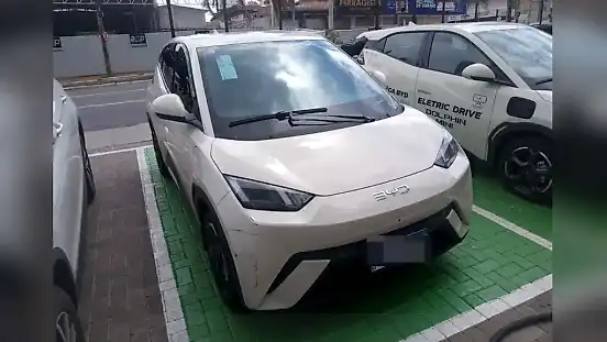 Foto de um byd dolphin mini