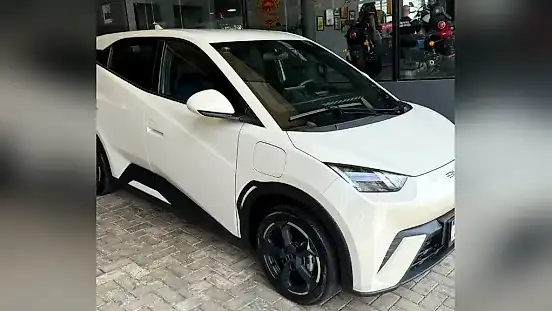 Foto de um byd dolphin mini
