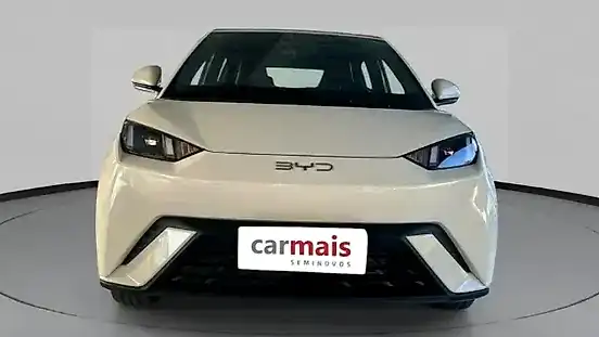 Foto de um byd dolphin mini