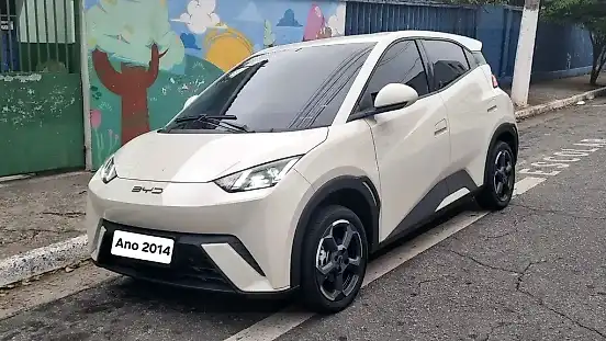 Foto de um byd dolphin mini