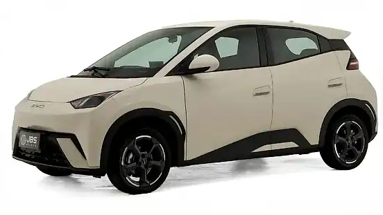 Foto de um byd dolphin mini