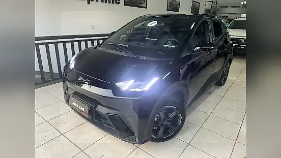 Foto de um byd dolphin mini