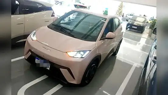 Foto de um byd dolphin mini
