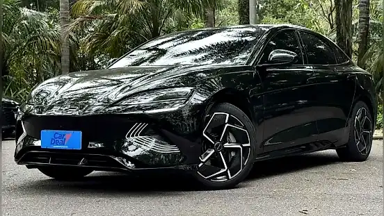 Foto de um byd seal