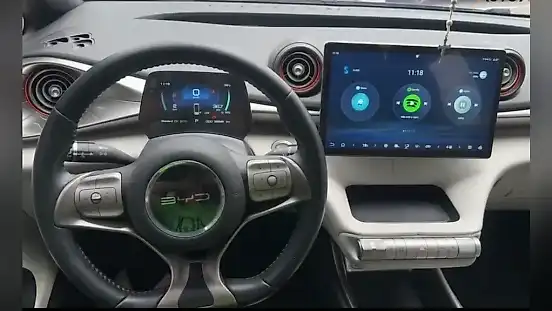 Foto de um byd dolphin