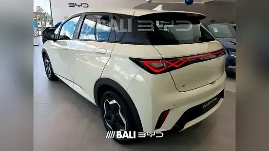 Foto de um byd dolphin