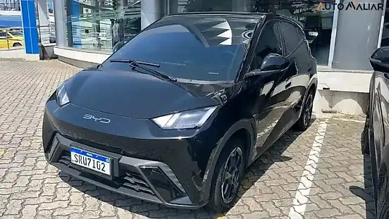 Foto de um byd dolphin
