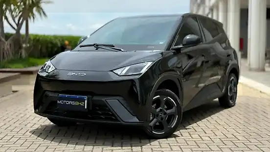 Foto de um byd dolphin