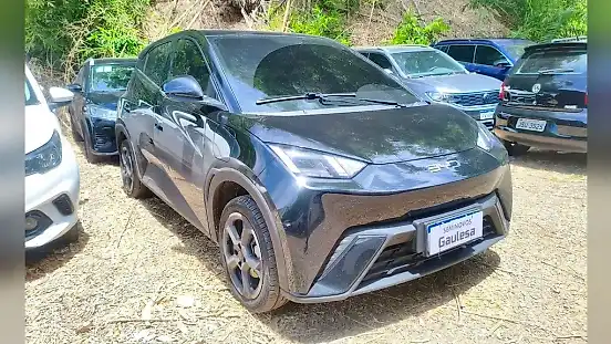 Foto de um byd dolphin mini