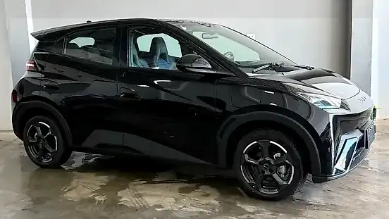 Foto de um byd dolphin mini