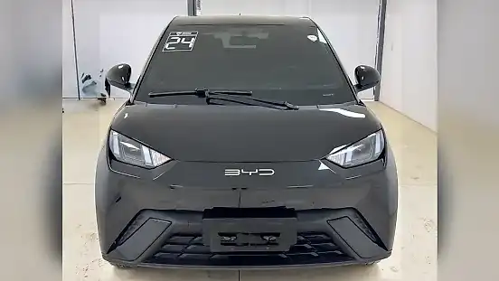 Foto de um byd dolphin