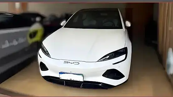 Foto de um byd seal