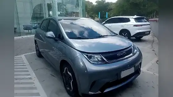Foto de um byd dolphin