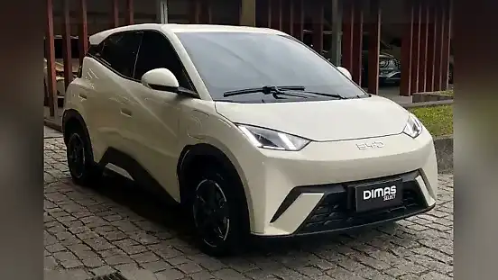 Foto de um byd dolphin mini