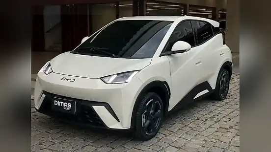 Foto de um byd dolphin mini
